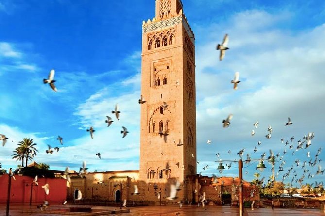 3 Days: Private Desert Tour from Marrakech to Merzouga via Atlas & Camel Trek - Todrha Gorges: The Canyon Stop That Makes Every Other Drive Feel Worth It