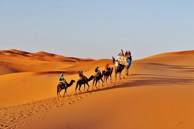 3 Days Private Luxury Tour Merzouga Desert Ending in Marrakech - Fez to the Middle Atlas: comfort-first starts with cedar-forest magic