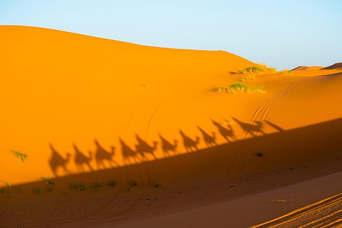 3-Days Private Tour from Marrakech to Fez through Merzouga Desert - Ifrane National Park, Cedar Forest Monkeys, and Ending in Fez Medina