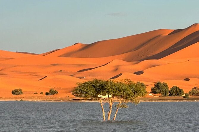 3 Days Private Tour From Marrakech to Sahara Desert Merzouga - Merzouga Nights at Erg Chebbi: Camp, Stars, and the Camel Sunrise