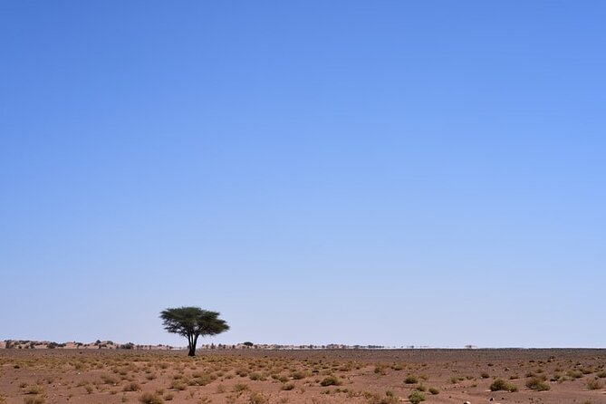 3 Days Sahara Desert Tour from Marrakech to Fes - Price and Value: What $639.73 Actually Covers