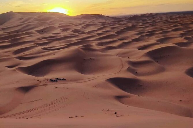 3 Days Sahara desert Trip from Marrakech - Who should book this Sahara trip from Marrakech