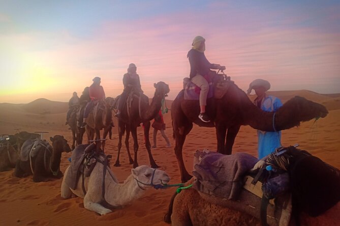 3 Days Sahara Tour from Marrakech to Merzouga Dunes - What you see along the way: UNESCO, kasbahs, gorges, and oasis routes