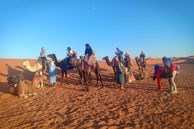 3 Days Sahara Tour from Marrakech to Merzouga Dunes - Price and logistics: is $110.34 per person good value?