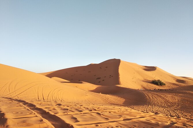3 Days Sahara tour from Marrakesh - Price and What $407.01 Actually Covers