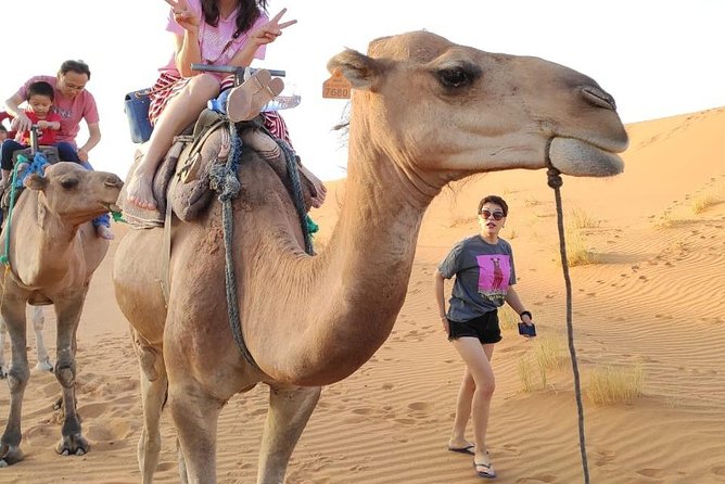 3 Days Sahara tour from Marrakesh - Ait Ben Haddou Kasbah: The UNESCO Stop With Movie-Set Energy