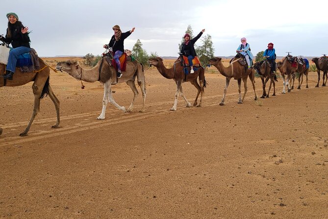 3-Days share Tour from Marrakech to Merzouga with Pickup - Group vibe, timing, and the reality of shared driving