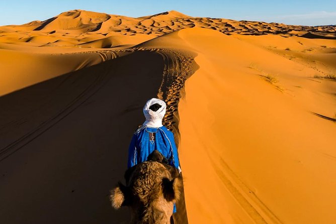 3-days shared Merzouga desert tour from Marrakech - Day 2: Todra Gorge palms, then Rissani to the Merzouga dunes