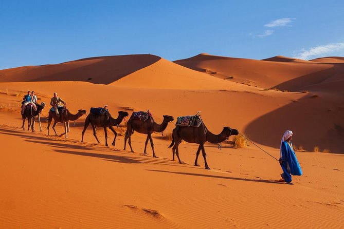3-days shared Merzouga desert tour from Marrakech - Day 2 evening: Camel ride, sandboarding, and camp under the stars
