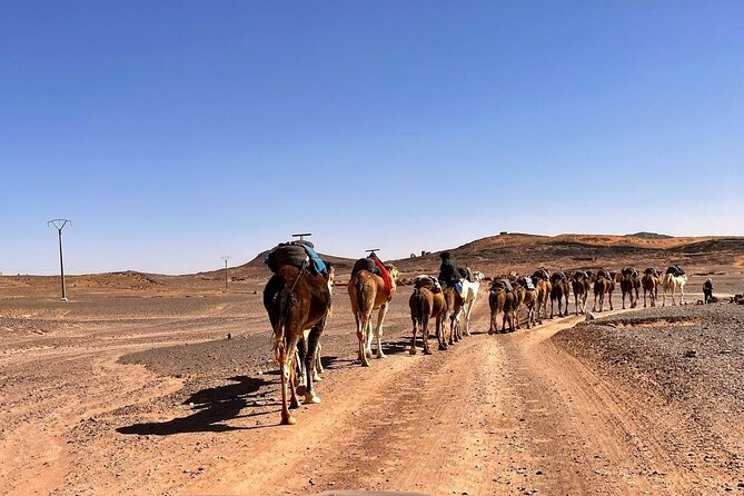 3 Days Tour From Errachidia To Merzouga With Safari & Camel Trekk - Who This Tour Suits Best (and Who Might Feel Strained)