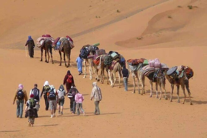 3 days tour from Marrakech to Merzouga - Erg Chebbi camel trek at night: the main event you’ll remember