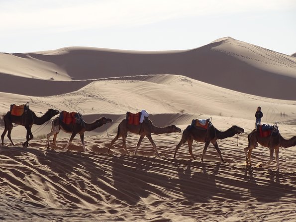 3 days tour from Marrakech to Merzouga - Day 3 sunrise dunes and the return via Rissani, Alnif, and Draa Valley