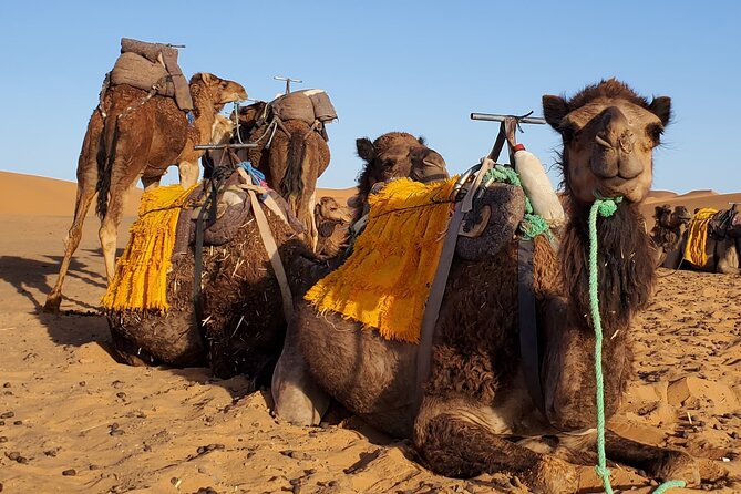 3 Days Tour from Marrakech to Merzouga Dunes and Camel Trek - Key Highlights You’ll Care About
