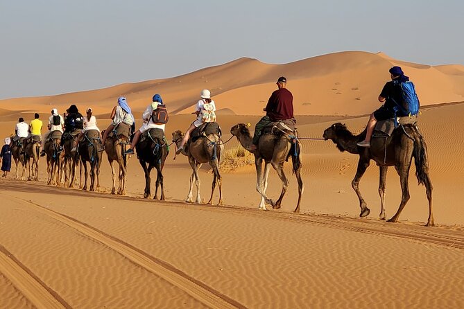 3 Days Tour from Marrakech to Merzouga Dunes and Camel Trek - Todra Gorge to Merzouga: Oases in Motion and the Road to the Camel Caravan