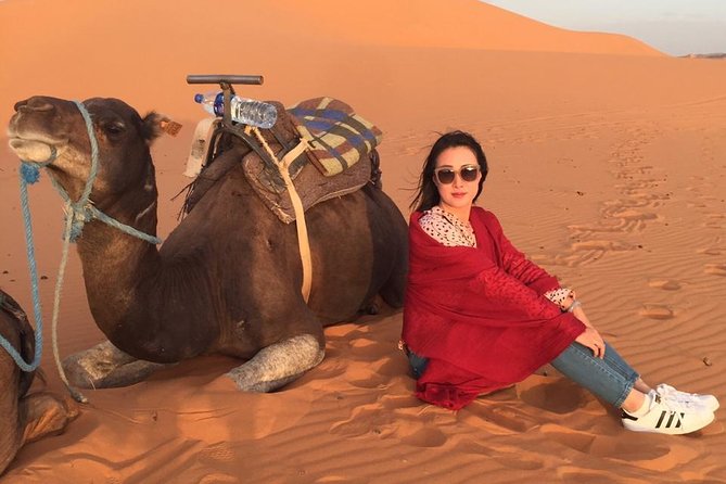 3 Days Tour luxury Experience in the great Sahara in Merzouga. - Desert day 2: Erg Chebbi camel ride, sunset timing, and the camp vibe