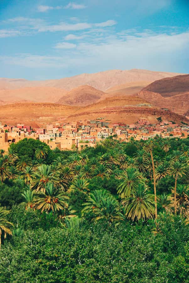 3 days trip From Fes with overnight in heated tent &sandsurf - The one thing to think about: camel ride ethics and gear fit