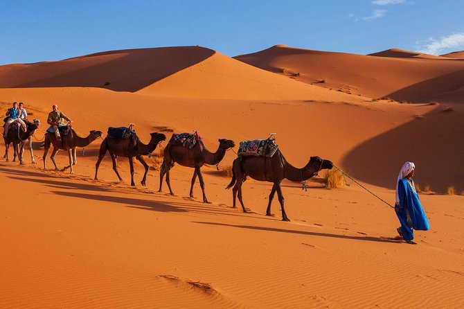 3 Days Trip To Merzouga Desert From Marrakech - Comfort, Group Size, and the Real-Life Logistics