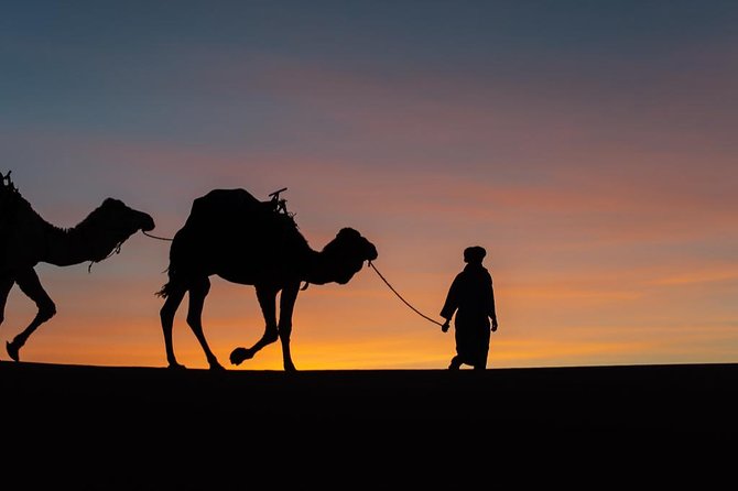 3 Days Trip To Merzouga Desert From Marrakech - Who This Tour Is Best For