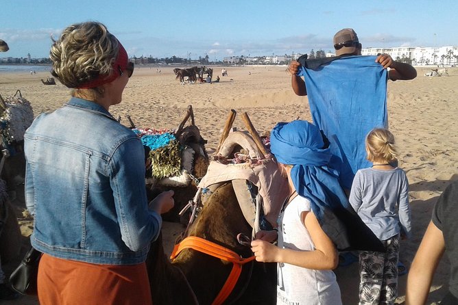 3-hour camel ride at sunset - Sunset Camel or Horse in Essaouira: What You’re Really Buying