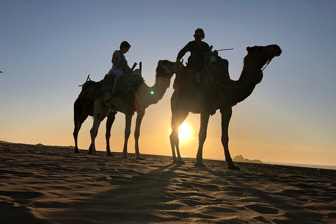 3-hour camel ride at sunset - Diabat, Ruins, and the Story Route: Where the Sunset Walk Goes