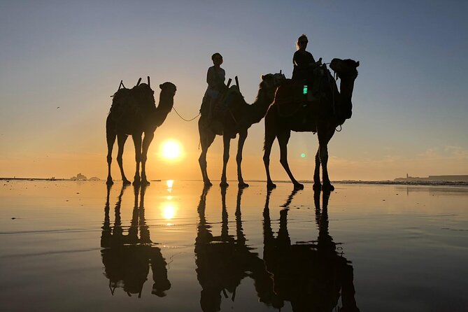 3-hour camel ride at sunset - The Jimmy Hendrix Cafe Break: Tea, Biscuits, and Light-Controlled Moments