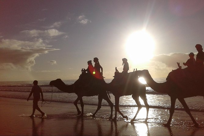 3-hour camel ride at sunset - How the Timing Works: 3 Hours Total, About 1 Hour on the Beach