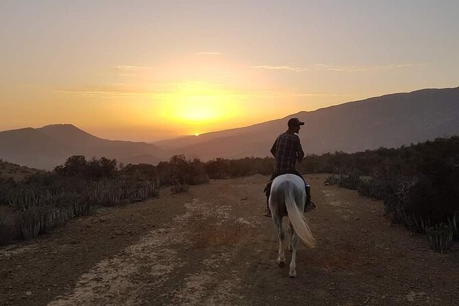 3-hour Horseback Ride Mountain and Beach Morocco - The ride format: 3 hours that actually changes scenery