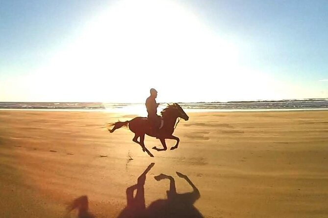 3-hour Horseback Ride Mountain and Beach Morocco - Stop 4: back to the beach for walk, trot, and controlled gallop energy