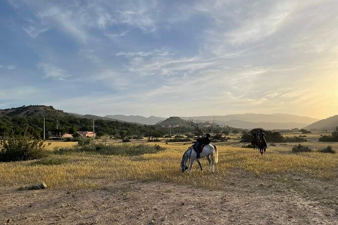 3-hour Horseback Ride Mountain and Beach Morocco - Gear, coffee, and water: what you’ll actually get handed