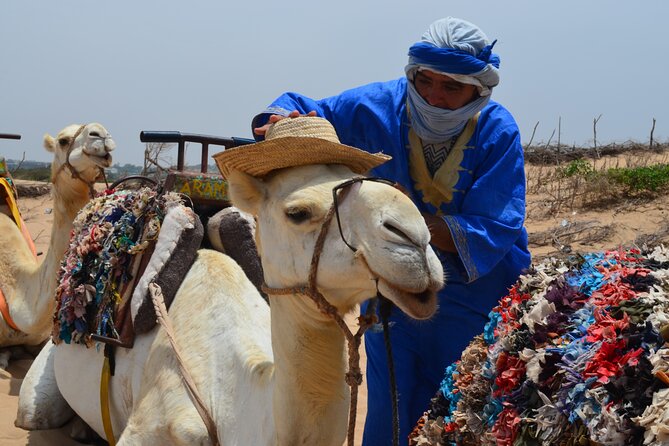 3 hours Camel Ride in Essaouira, beach and dunes - Starting Point: Moulay M’hamed Tower to the Ruins Area