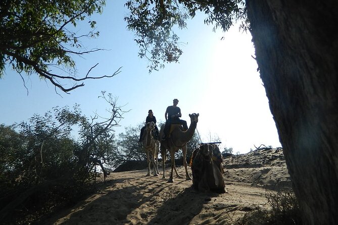 3 hours Camel Ride in Essaouira, beach and dunes - The Route Logic: From Sultan Palace Ruins and Portuguese Castle to Open Beach