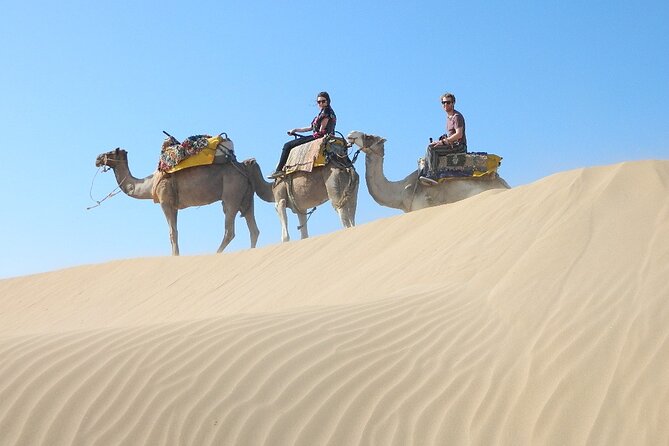 3 hours Camel Ride in Essaouira, beach and dunes - Out on the Wide Beach: Views, Wind, and the Real Dunes Experience