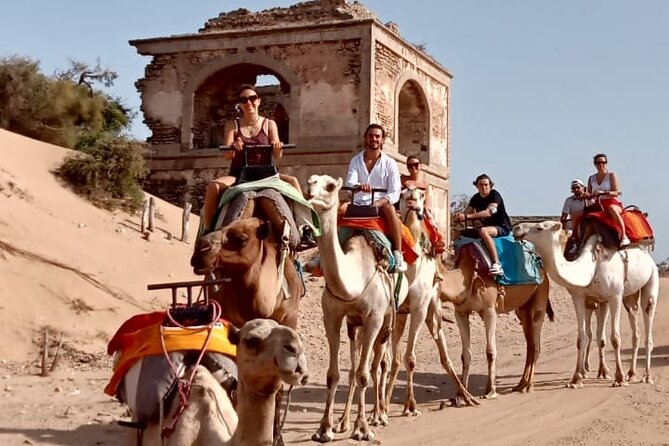 3 hours Camel Ride in Essaouira, beach and dunes - Photo Stops, Tea Moment, and Guide Help That Matters