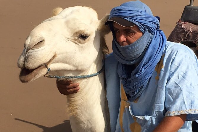 3 hours Camel Ride in Essaouira, beach and dunes - Transportation and Timing: Why Pickup/Drop-Off Is a Big Deal