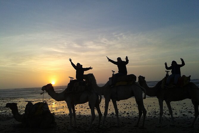 3 hours Camel Ride in Essaouira, beach and dunes - Getting on a Dromedary: How the Ride Actually Feels