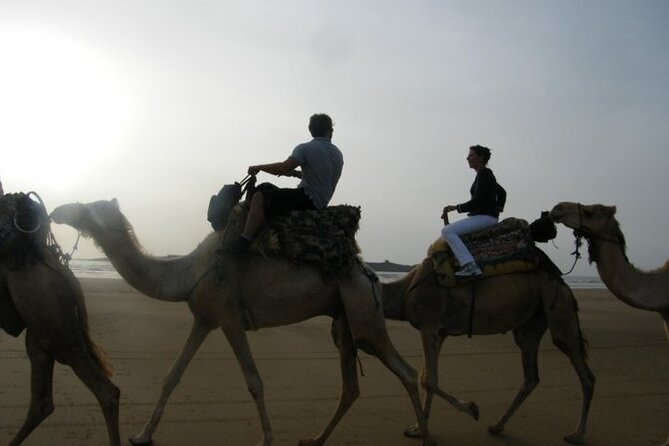 3 hours Camel Ride in Essaouira with Dinner and Overnight in Berber Camp - Camel ride on Essaouira’s coast: dunes without the Sahara trek