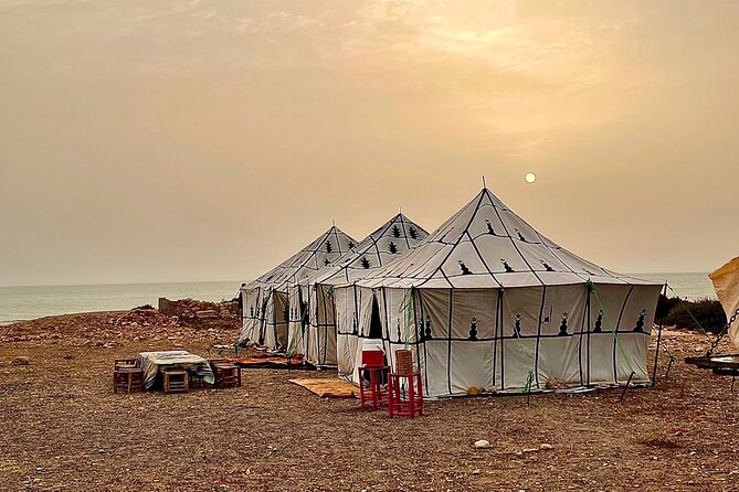 3 hours Camel Ride in Essaouira with Dinner and Overnight in Berber Camp - Price and value: is $212.55 worth it?
