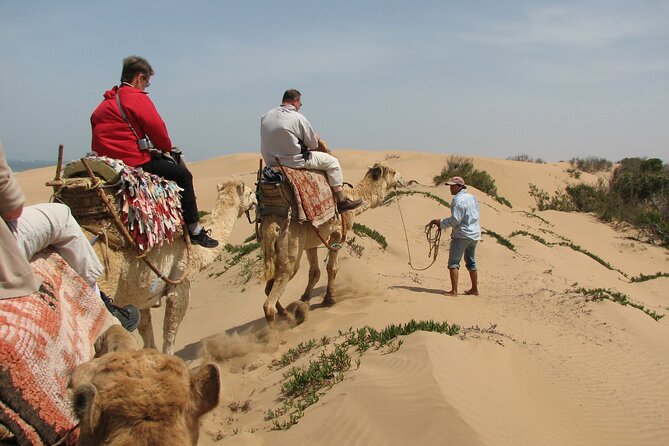 3 hours Camel Ride in Essaouira with Dinner and Overnight in Berber Camp - Who this tour suits best (and who should think twice)