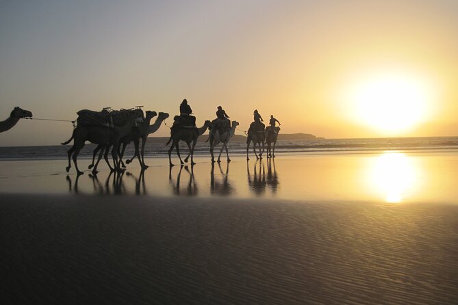 3 hours Camel Ride in Essaouira with Dinner and Overnight in Berber Camp - Should you book the Essaouira camel ride and Berber camp overnight?