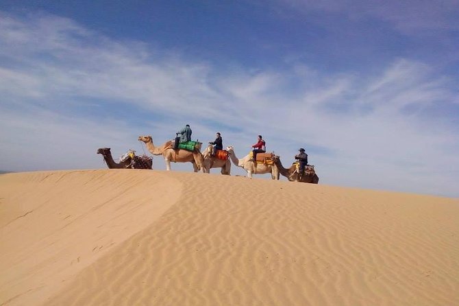 3 hours Camel Ride in Essaouira with Dinner and Overnight in Berber Camp - Overnight tent night in the camp: stars and the slower rhythm
