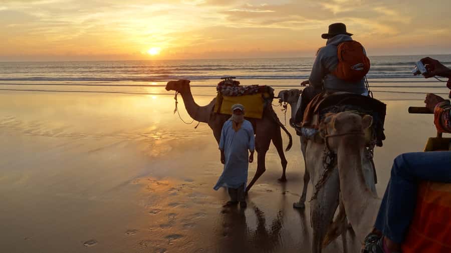 3-Hours Dromedary Ride Essaouira, Morocco - Key highlights you’ll care about