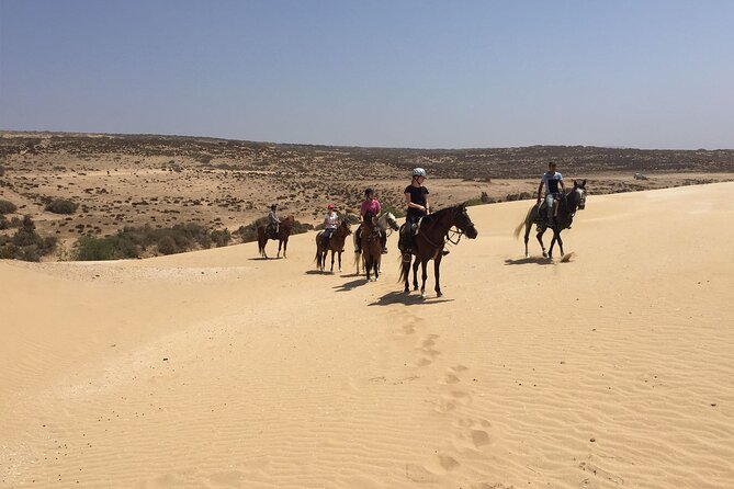 3 hours horse riding in Essaouira, beach, forest and dunes - Diabat to the Coast: How the 3-Hour Route Really Flows