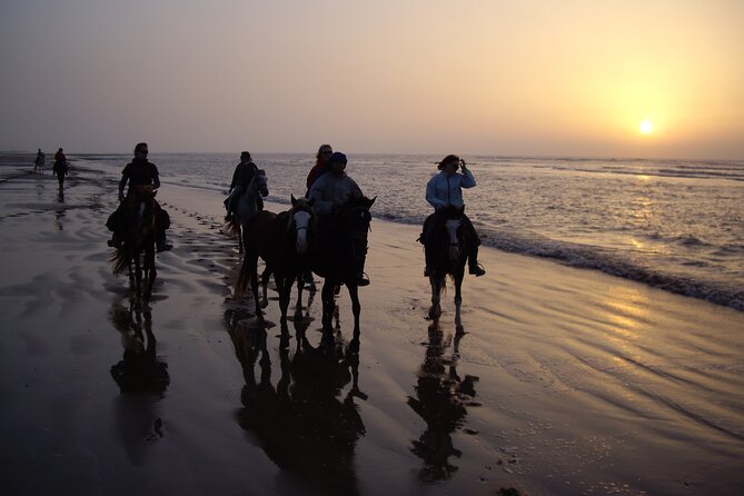 3 hours horse riding in Essaouira, beach, forest and dunes - Sand Dunes and Coastal Texture: Why This Segment Feels Different