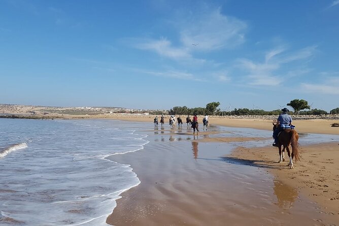 3 hours horse riding in Essaouira, beach, forest and dunes - Pickup and Small-Group Logistics in Essaouira: The Part People Forget