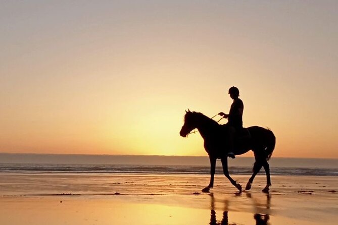 3 hours horse riding in Essaouira, beach, forest and dunes - Value for Money: Is $75.49 for 3 Hours Worth It?