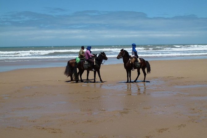 3 hours horse riding in Essaouira, beach, forest and dunes - Beach Riding in Essaouira: Ocean Views With a Pace That Matches You