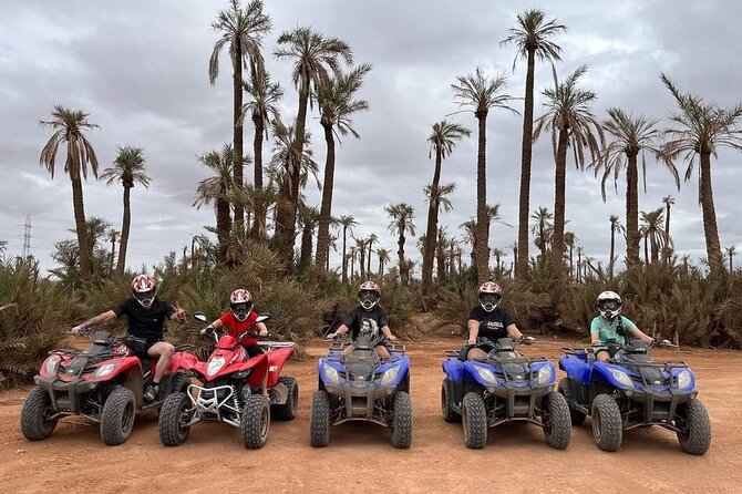3 Hours Quad Excursion to the palm grove and Jbilat Desert - Key highlights you’ll actually feel