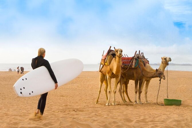 3 Hours Quad Trip in Essaouira discover the Cave and the biggest Dunes - Key points you should care about before you ride