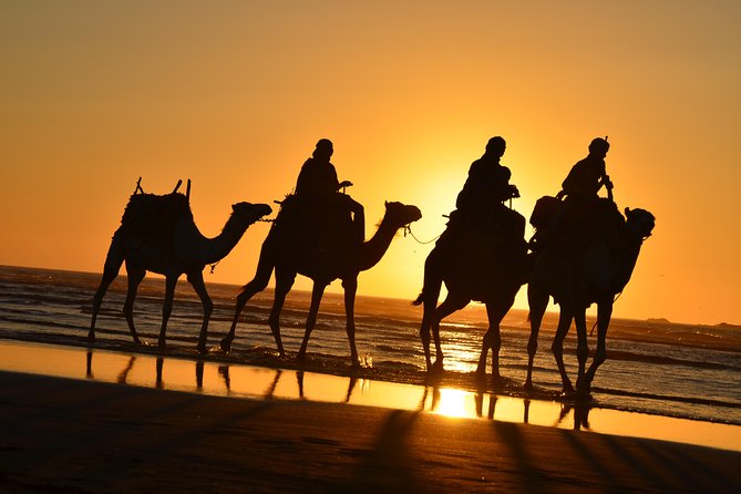 3 hours ride on camel at sunset - Sunset Dromedary Riding in Essaouira: Why This Timing Works