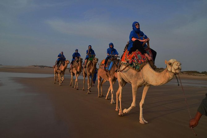 3 hours ride on camel at sunset - Portuguese Borj and Cap Sim Dunes: The Stops That Make the Ride Worth It